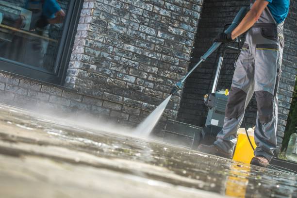 Best Fleet Vehicle Washing  in Sparta, MI
