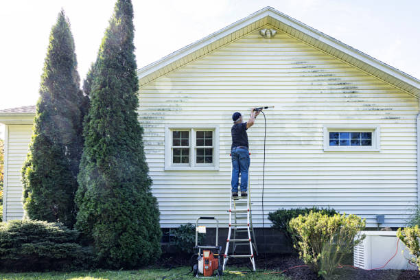 Best Sidewalk and Walkway Cleaning  in Sparta, MI
