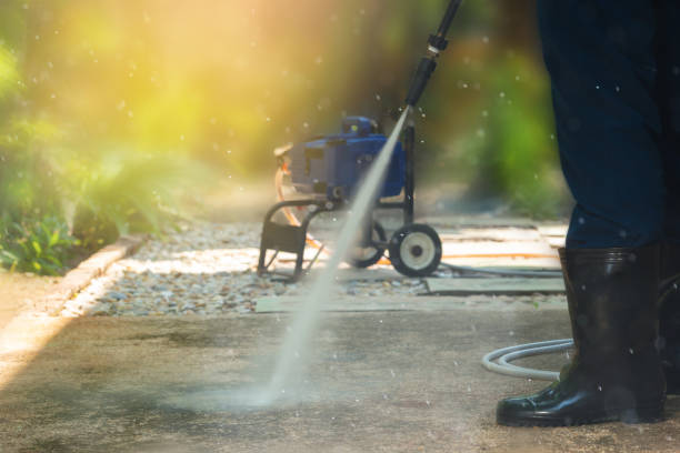 Best Solar Panel Cleaning  in Sparta, MI
